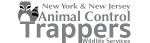 animal-control-nyc_logo-300×86 copy