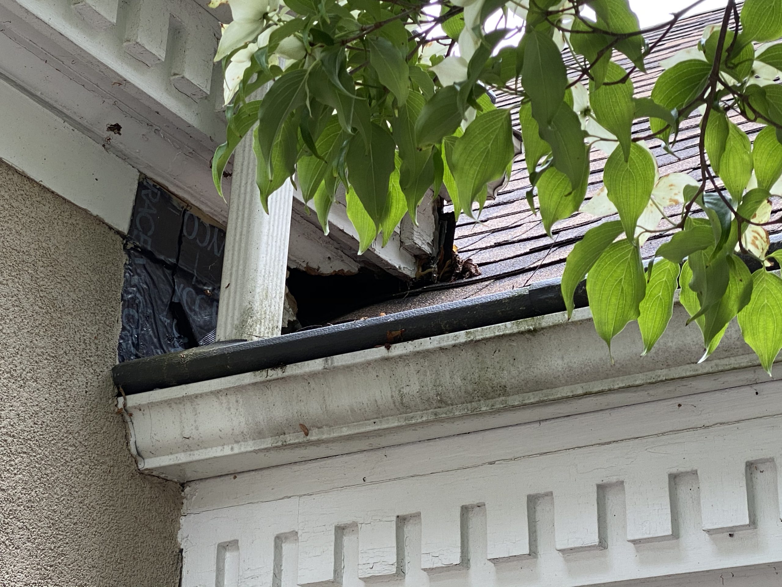 Animal Damage Repairs