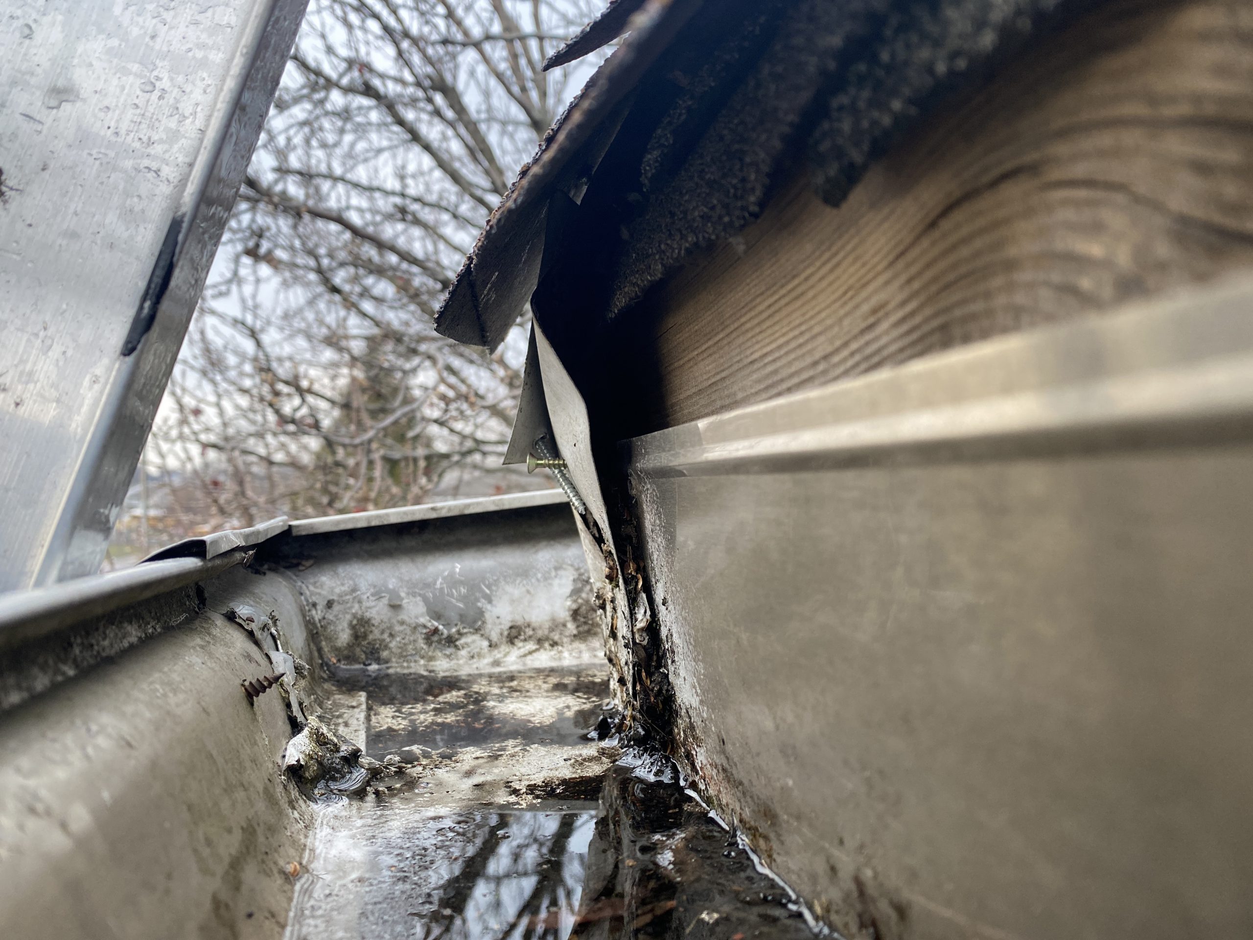 Animal Damage Repairs