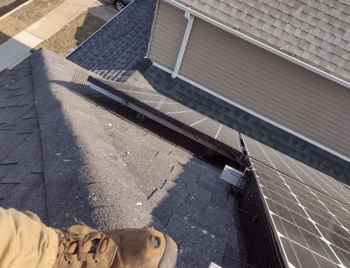 Are Animal Invasions Covered by Solar Panel Warranties?