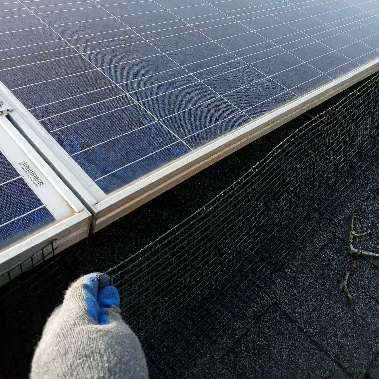 proofing solar panels https://www.animalcontrol.nyc