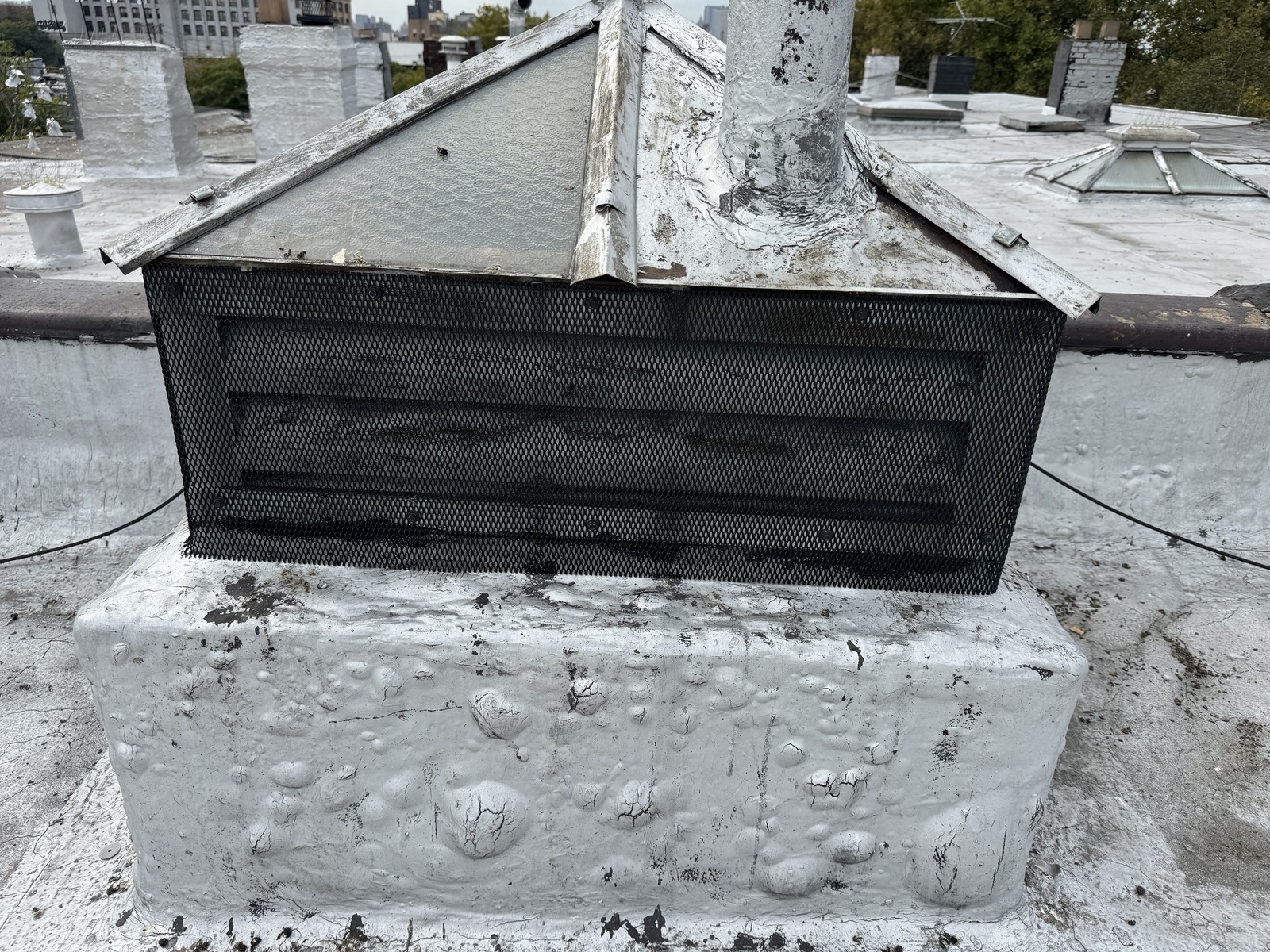Black screening fitted over a rooftop louvered vent